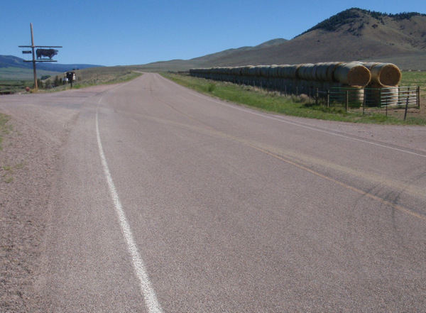 Tash Ranch - That is a whole lot of grass.